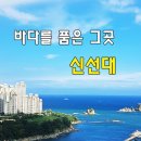 신선대산복로 | 바다와 바람이 전해준 작은 위로, 신선대에서의 힐링