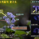 반자주 - 창원시 진해구 냉천로 156 | 반자주
