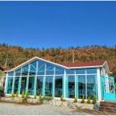 꽃피는 전복식당2 이미지