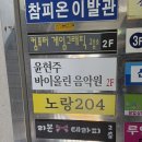 노랑204