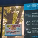 카워시 블링존 장유점 이미지