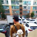 복자통신 - 고성군 거탄진로 127 | 복자통신