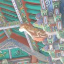 만 마리의 호랑이 이미지