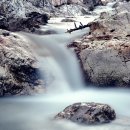 동네음식점 이미지