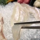 바다이야기2 | [오산/누읍동] 오산세교맛집 바다이야기 광어회 후기