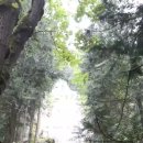 Bridal Veil Falls Provincial Park 이미지