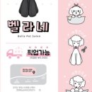 수정애견미용실 이미지