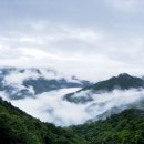 억만장여관 이미지