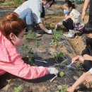 대촌중앙초등학교 이미지