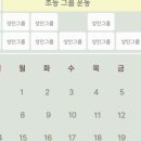 운동하는 코끼리 이미지