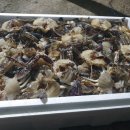 복성수산 이미지