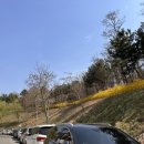 서농동게이트볼장 이미지