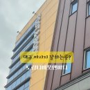 노랑나비2
