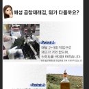 해성농수산물 네이버블로그