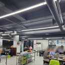 황금조개 튼튼장어 이미지