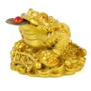 금두꺼비 이미지