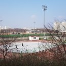 운정체육공원 이미지