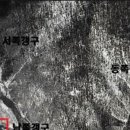 상업용 38 이미지
