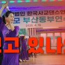 댄스스포츠 이미지