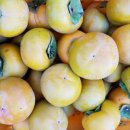 안골농장 이미지