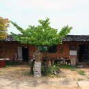 월하성어촌체험마을 이미지