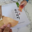 법인자연 이미지