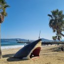 아름다울개 | 후쿠오카 근교 여행, 이토시마 반나절 버스투어 내돈내산 후기(하루하루투어)