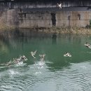 남파랑길 이미지