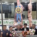 대전충남양돈농협 포크빌 축산물공판장 | 한우 한 마리 가격이 무려 6224만 원?!