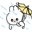 동홍북로 이미지