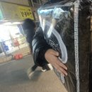 여수동진갈매기 이미지