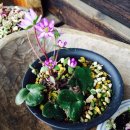 난초다실 이미지