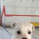 금장온누리약국 이미지