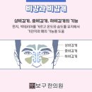 곽 한의원 네이버블로그