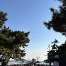 회란 | 칭다오여행 필수명소 잔교 회란각 방문후기