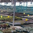 총각농장 이미지