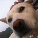 썬베네스트 이미지