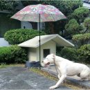 안녕하세요 이미지