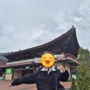 석사성신태권도교실 | 경시날 놀이공원에 간 이유+초등 자녀 첫 경시대회 Real 후기. 장점과 단점, 기대효과 리뷰. 성대경시 후기