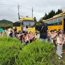 문산초병설유치원 이미지