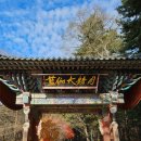 1박2일 강원도 가족여행♬ / 월정사, 두일막국수, 안반데기, 강릉 중앙시장, 스테이 인터뷰 올라...