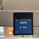 분당 젤라또 맛집 쿨리스트 방문 후기