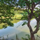 송천1리 마을회관 이미지