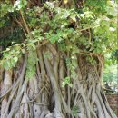 참사랑 홈파티스 쿠킹스튜디오 황금점 | 클룩 10월 할인코드, 쿠폰코드 입력하면 해외여행 전 상품 10% 할인!