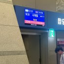 타코마월드투어 | 부모님과 아시아나 항공 인천 시애틀 직항 왕복 탑승 후기(기내식, 좌석지정, 누락 마일리지 적립)