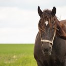 명동정비 이미지