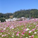 봉일천4리 이미지