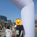 11650-17-30-10 | 제17회 금융 투자인 마라톤 대회 2026 불스레이스 참여 후기 참가 기념품 리뷰