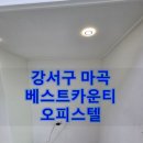마곡자동차써비스 | 강서구 입주청소 마곡 베스트카운티 오피스텔 쾌적하게 작업!