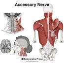 원앤원짐 이미지